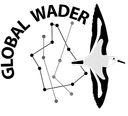 Global Wader logo